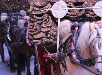 Els tres tombs de Vilanova i la Geltrú