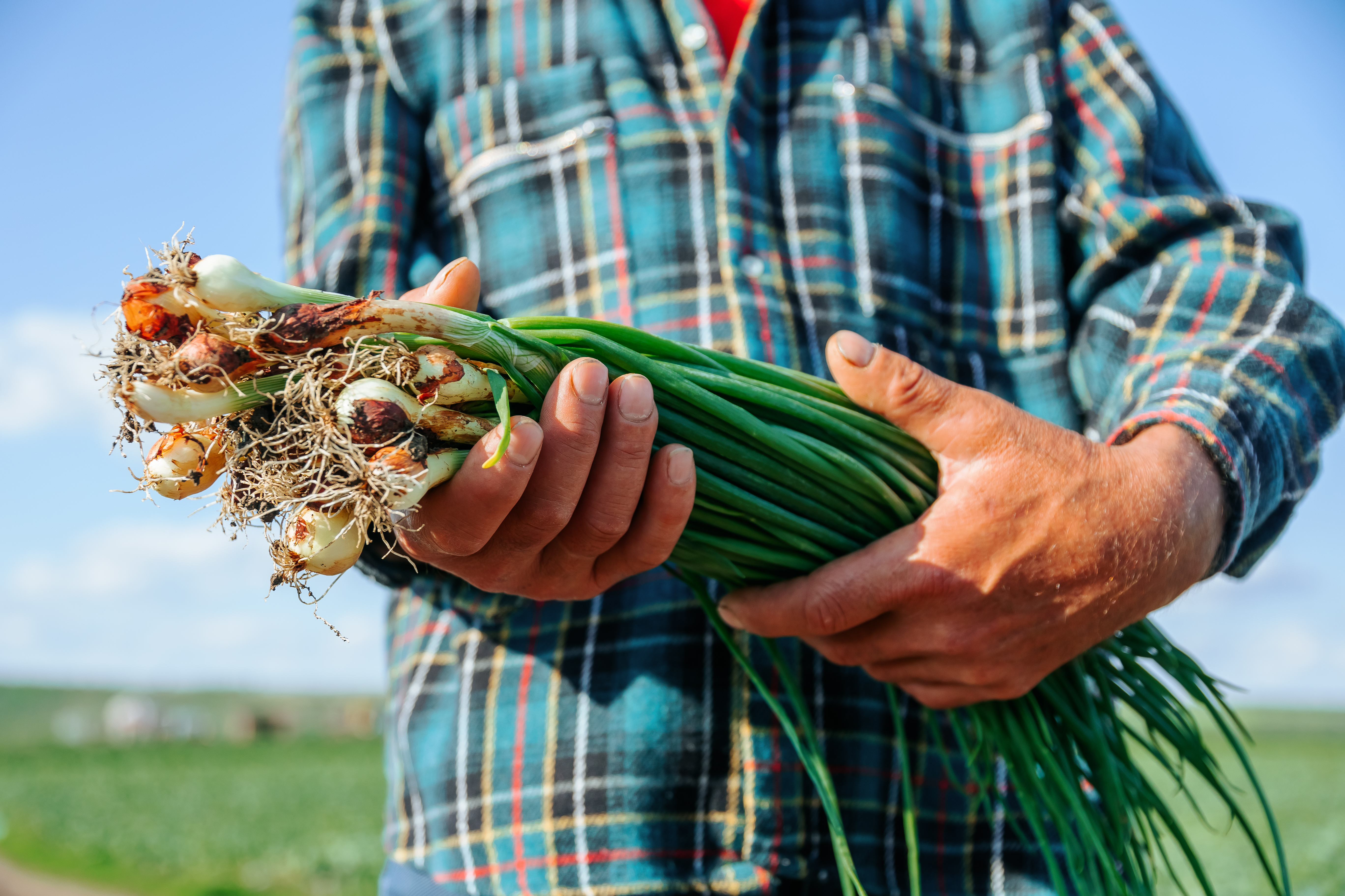 5 aliments imprescindibles de la cuina catalana i valenciana: sabor i identitat del territori