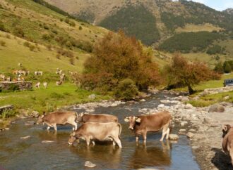 Vielha: natura, cultura i aventura per gaudir l’estiu al cor dels Pirineus