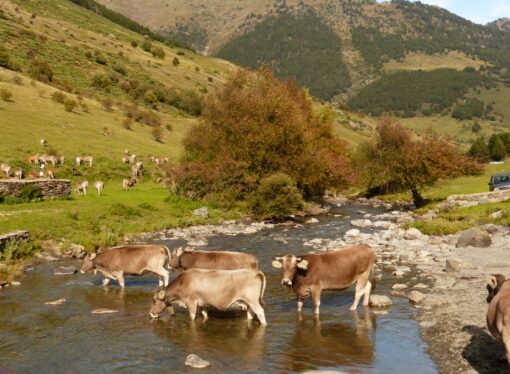Vielha: natura, cultura i aventura per gaudir l’estiu al cor dels Pirineus