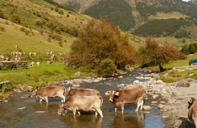Vielha: natura, cultura i aventura per gaudir l’estiu al cor dels Pirineus