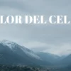 “Flor del cel”: la màgia i la saviesa de les dones del Pirineu arriba al cinema