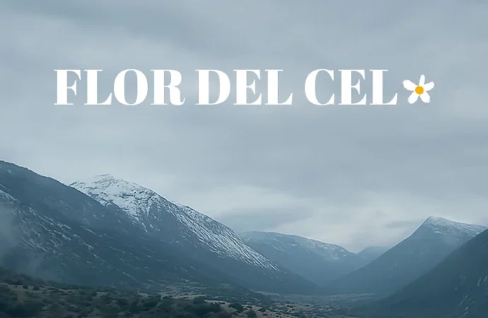 “Flor del cel”: la màgia i la saviesa de les dones del Pirineu arriba al cinema